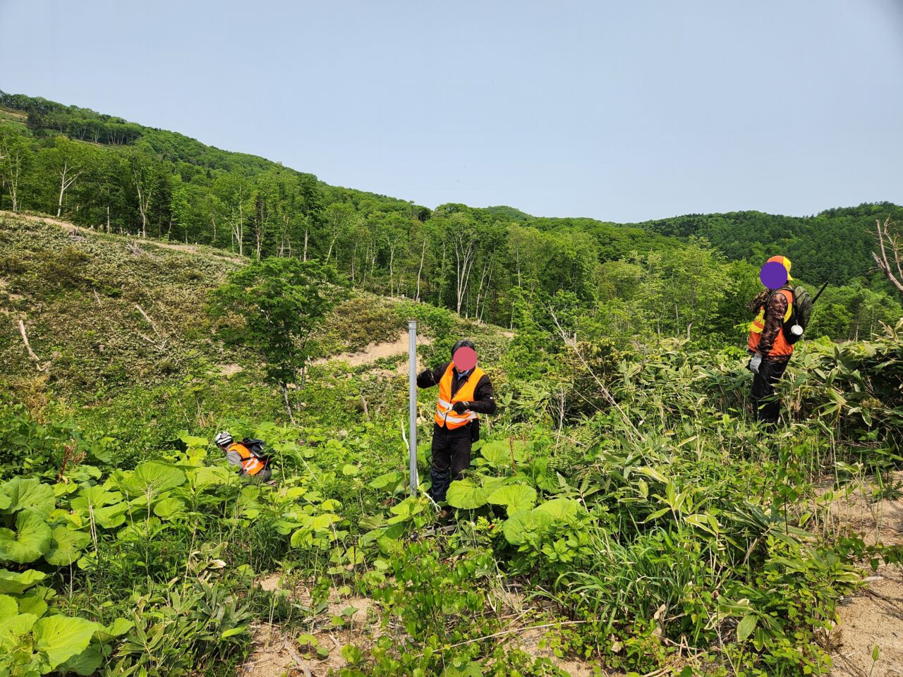 ヒグマ　ハンターさんの護衛